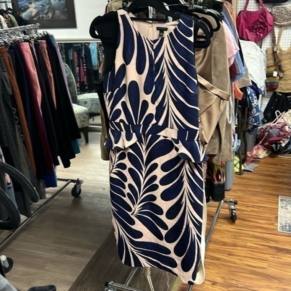 And Taylor size 6 cream and blue dress